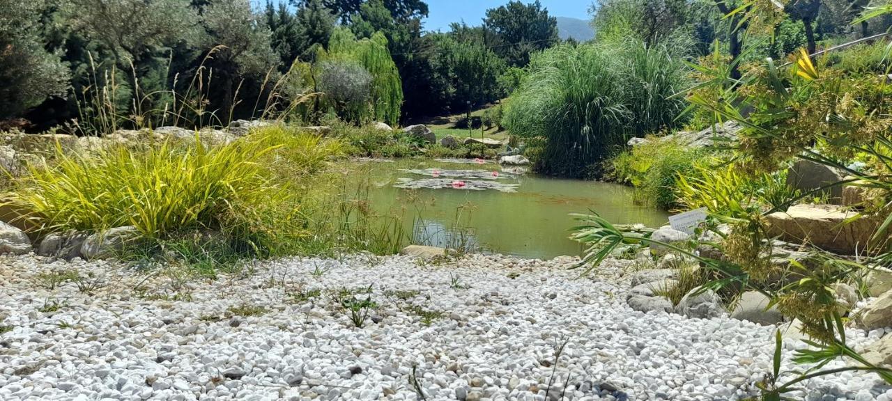 Masseria Boutique B&B Montella Zewnętrze zdjęcie