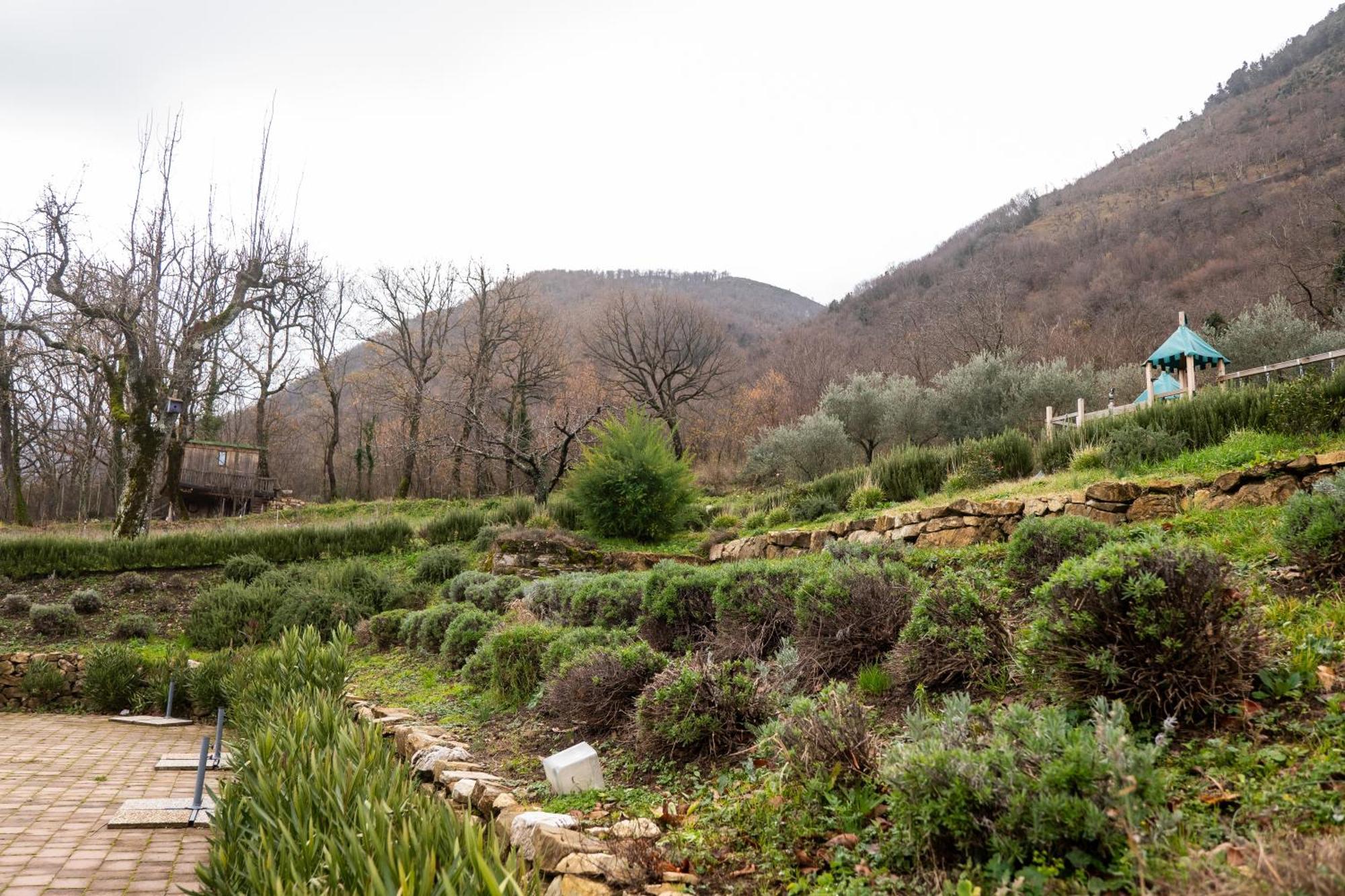 Masseria Boutique B&B Montella Zewnętrze zdjęcie
