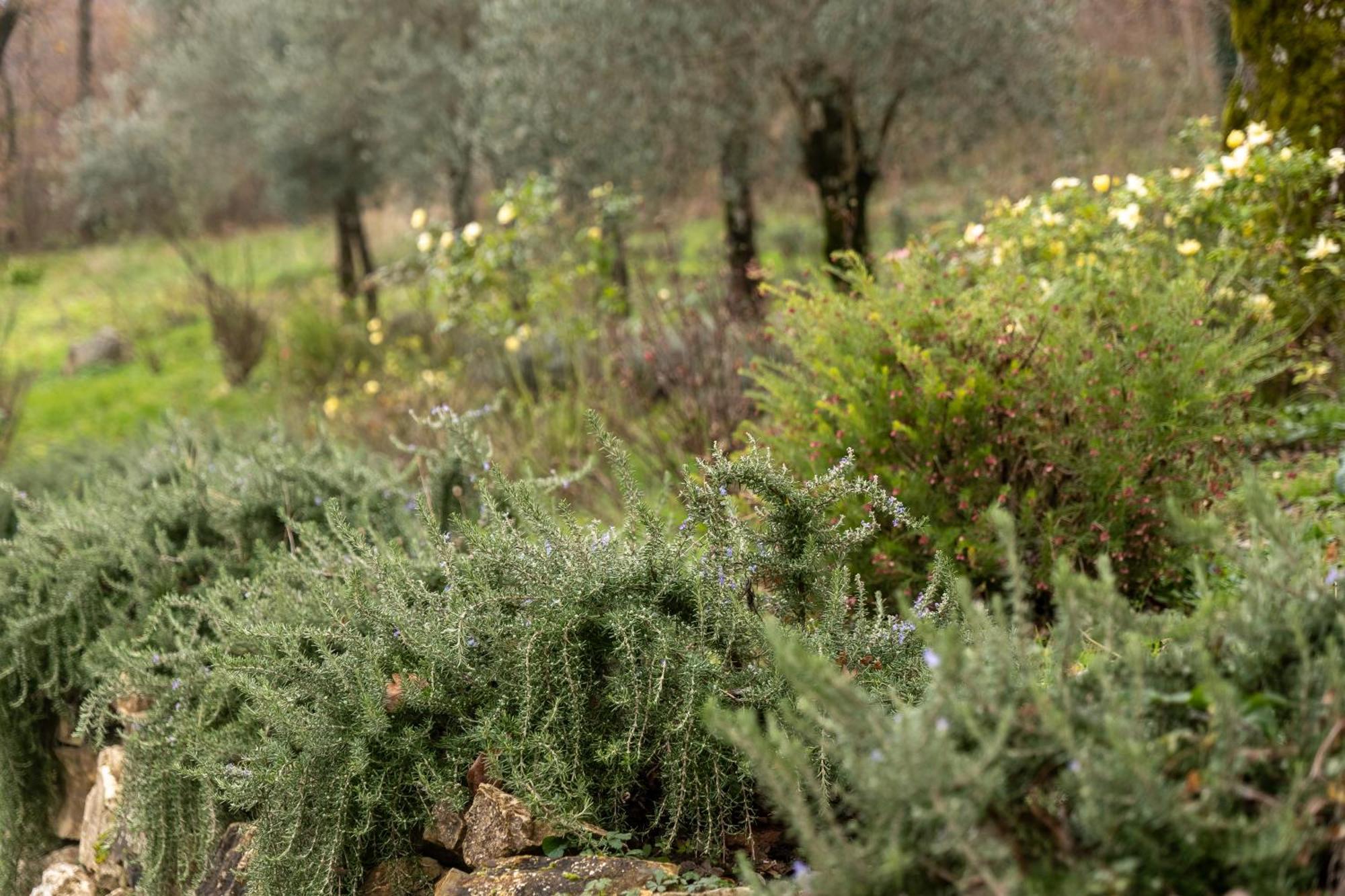 Masseria Boutique B&B Montella Zewnętrze zdjęcie
